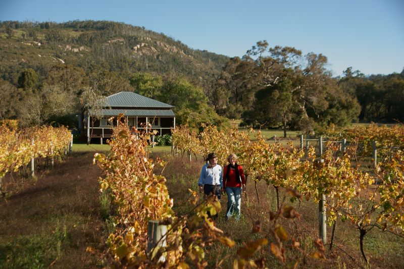 Abbey Creek Wines / Porongurup Range