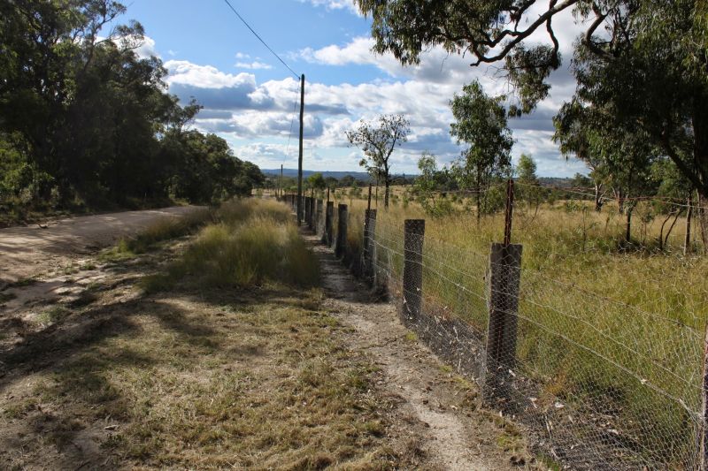 SD W Rabbit Fence near Dalveen Queensland 800